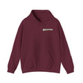 BNF Motorworks — Logo Back + Chest + Sleeve (Black Hoodie)